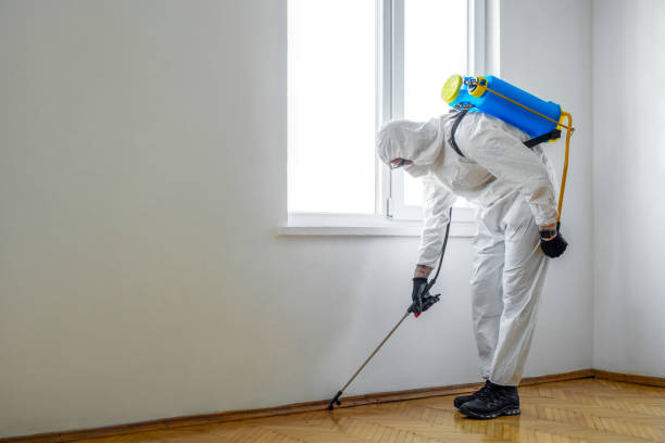 Best Pest Prevention Services  in Carrizozo, NM